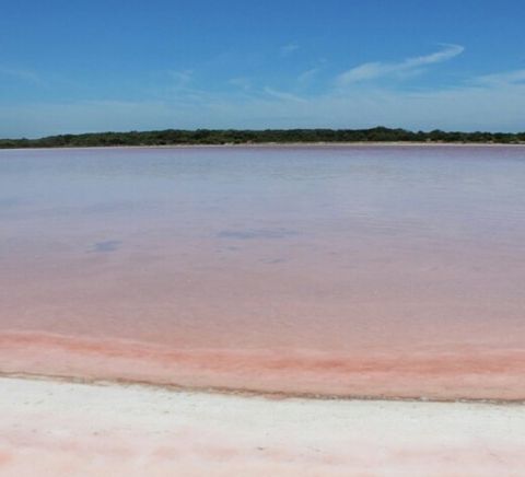 Great Ocean Road - Melbourne to Adelaide drive - coorong pink lake